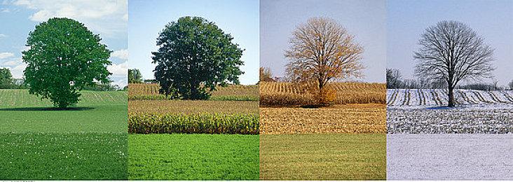 《Apex英雄》手游确认5月17日发售 首发10位英雄