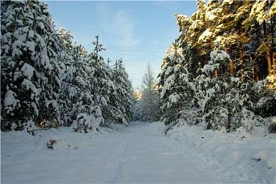 40系显卡DLSS 3将获升级 帧数更高、显存占用更低